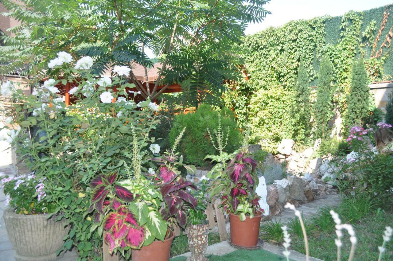 Каштел Pancevo Hotell Eksteriør bilde